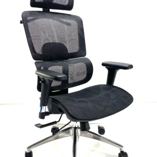Decomica D200 Ergonomic High Back Mesh Office Chair