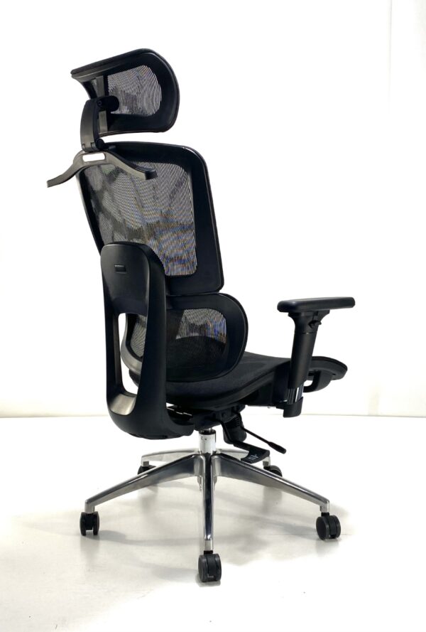 Decomica D200 Ergonomic High Back Mesh Office Chair