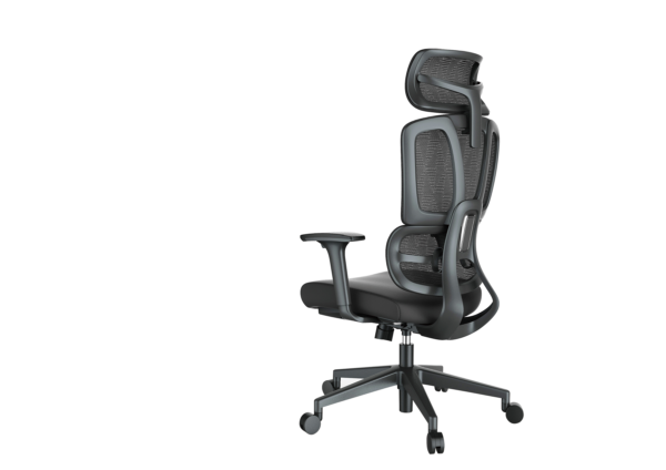 Premium DC211 Ergonomic High Back Mesh Office Chair