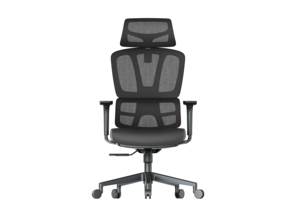 Premium DC211 Ergonomic High Back Mesh Office Chair