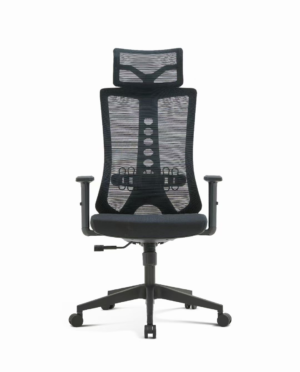 Premium DC222 Ergonomic High Back Mesh Office Chair