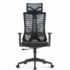 Premium DC222 Ergonomic High Back Mesh Office Chair