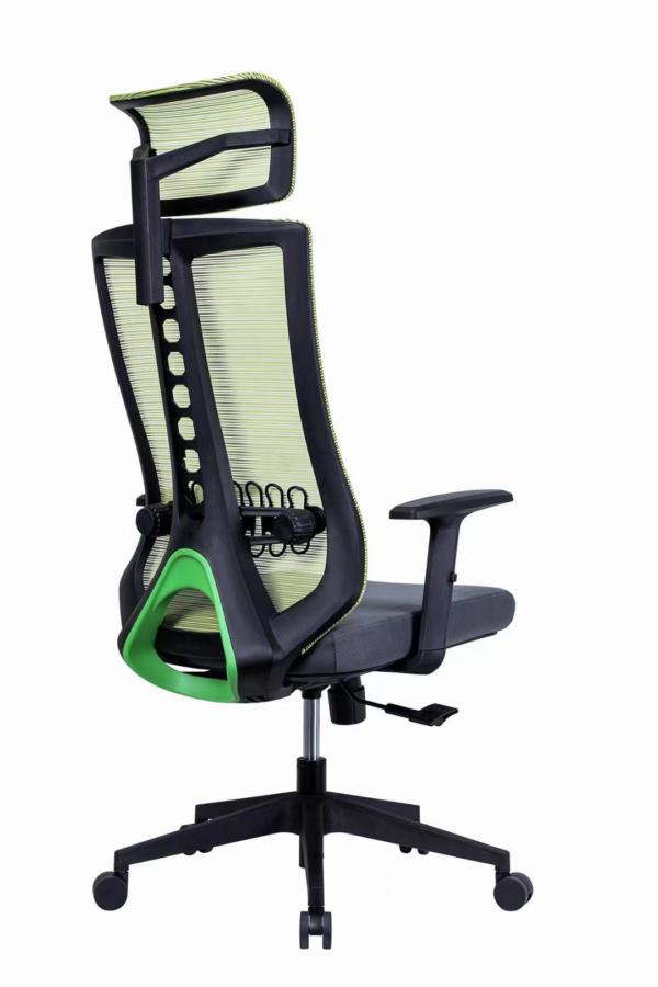 Premium DC222 Ergonomic High Back Mesh Office Chair